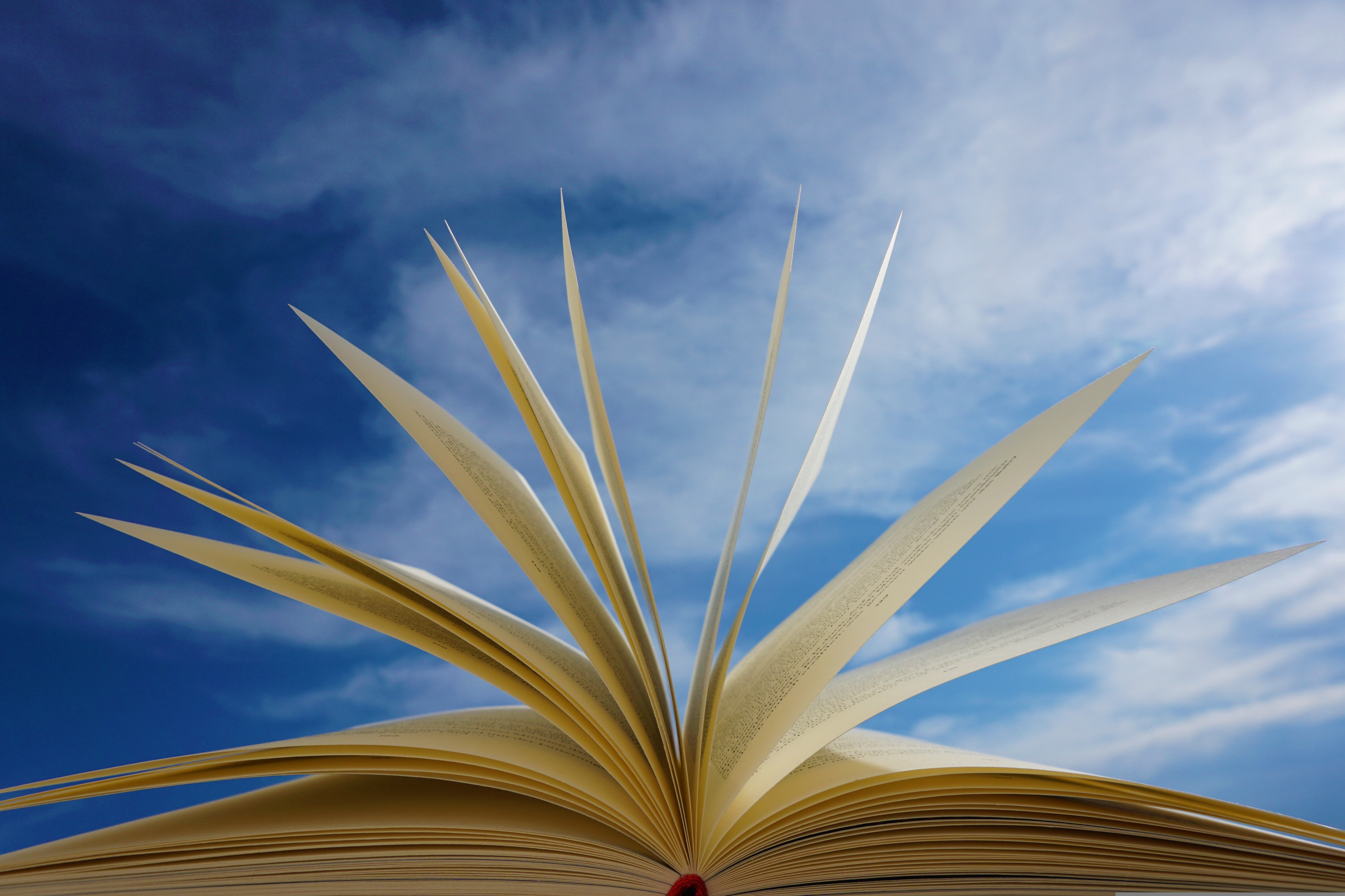 Learning Beyond Boundaries